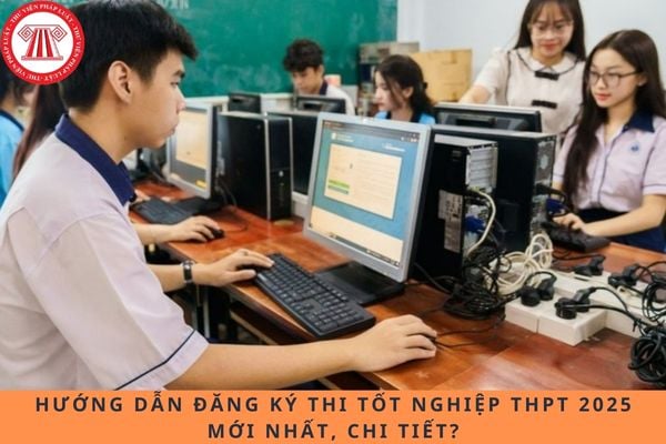 Pháp luật