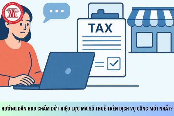 Pháp luật