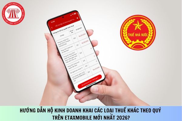 Pháp luật