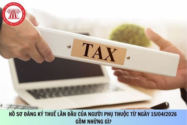 Pháp luật