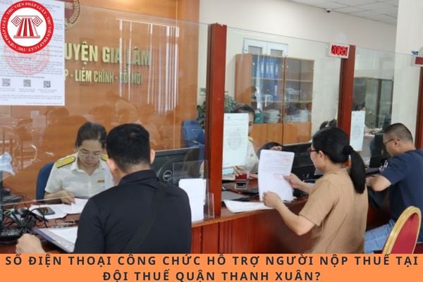 Pháp luật