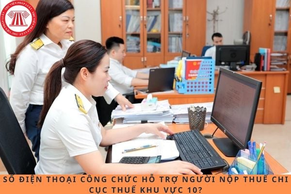Pháp luật