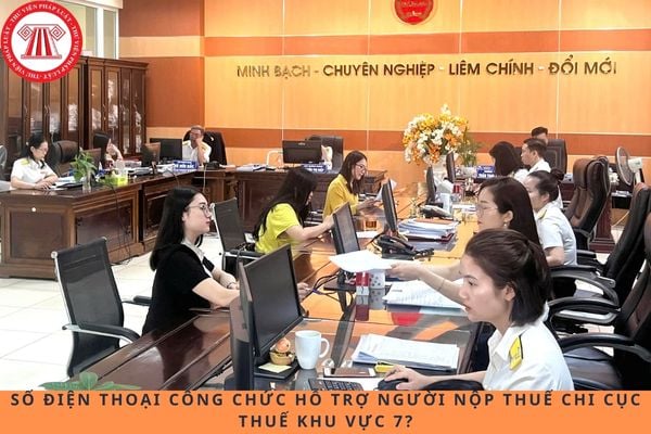 Pháp luật