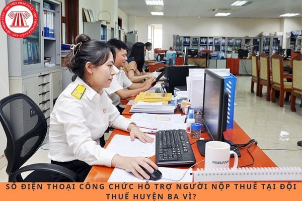 Pháp luật