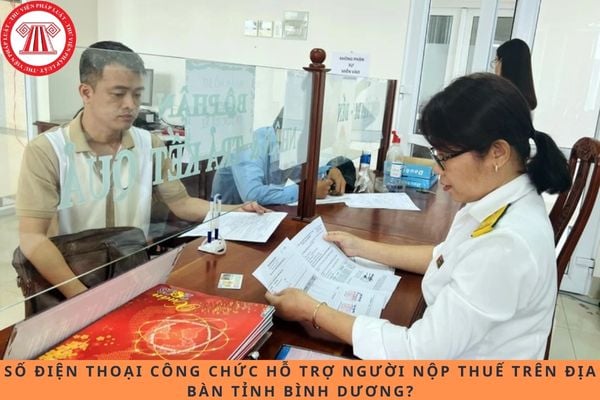 Pháp luật