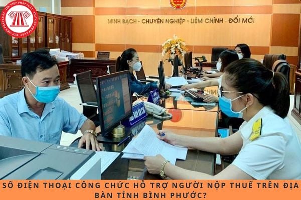 Pháp luật