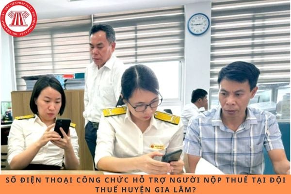 Pháp luật