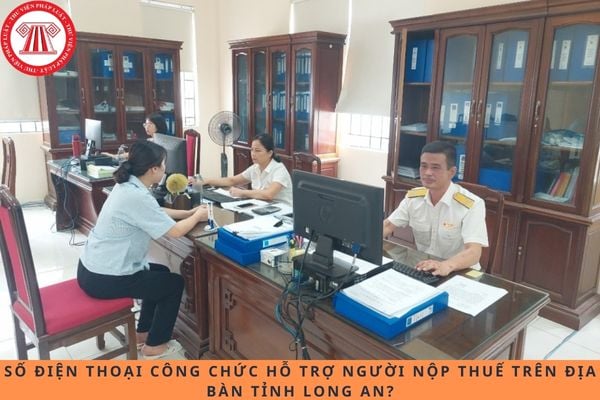 Pháp luật