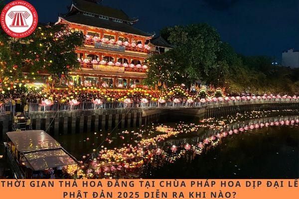 Pháp luật