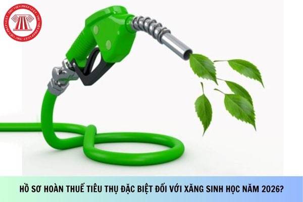 Hồ sơ hoàn thuế tiêu thụ đặc biệt đối với xăng sinh học năm 2026 gồm có giấy tờ gì?