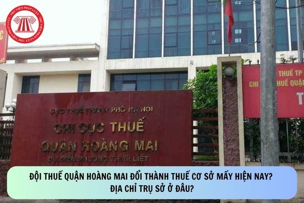 Pháp luật