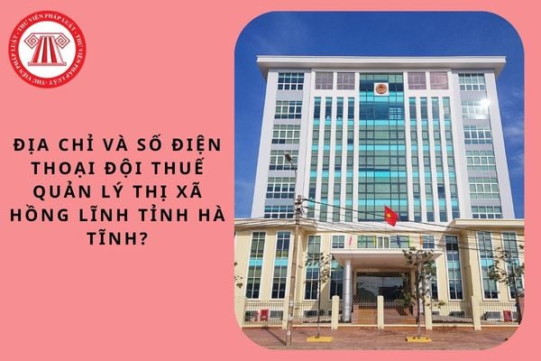 Pháp luật