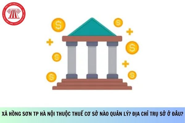 Pháp luật