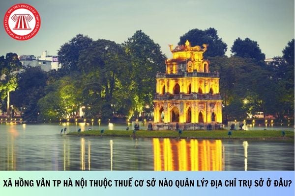 Pháp luật