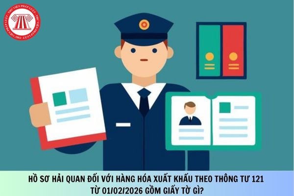 Pháp luật