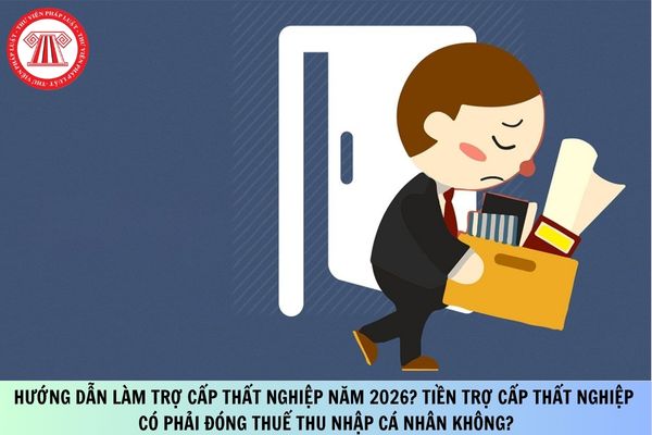 Pháp luật