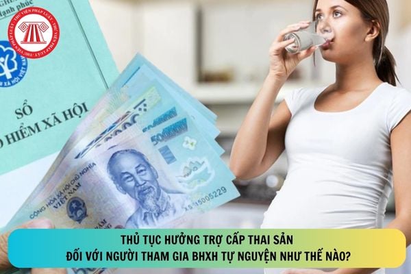 Pháp luật