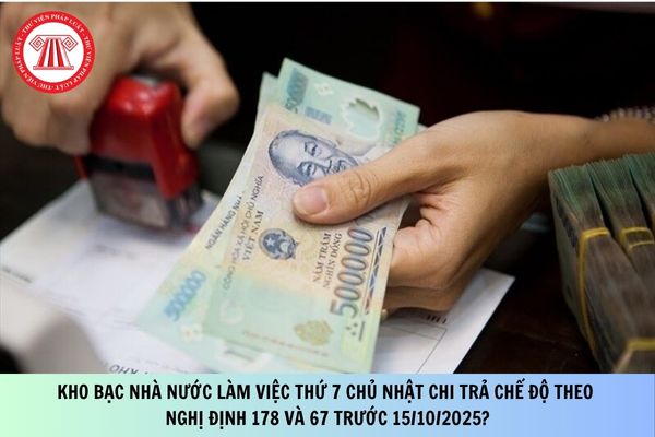 Pháp luật