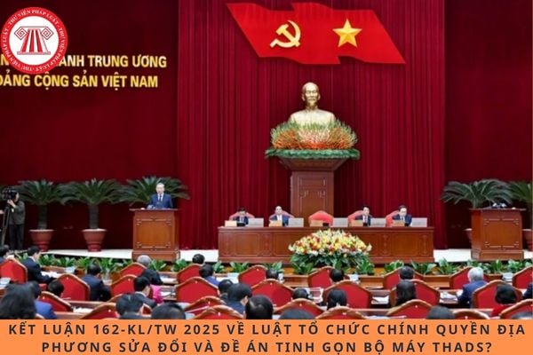 Pháp luật