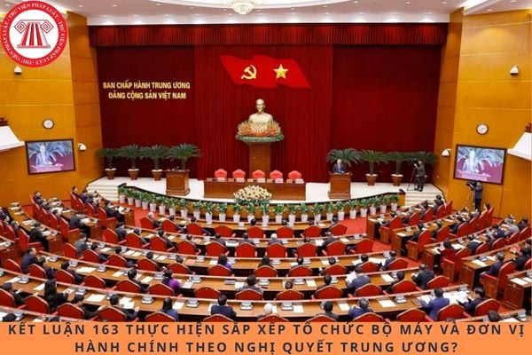 Pháp luật