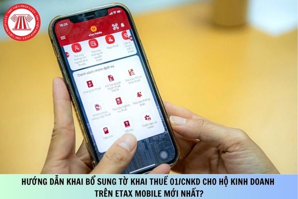 Pháp luật