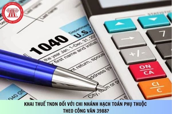 Hướng dẫn khai thuế TNDN đối với chi nhánh hạch toán phụ thuộc theo Công văn 3988?