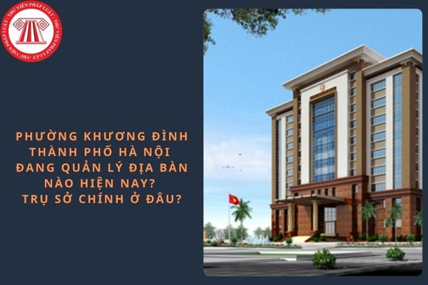 Pháp luật