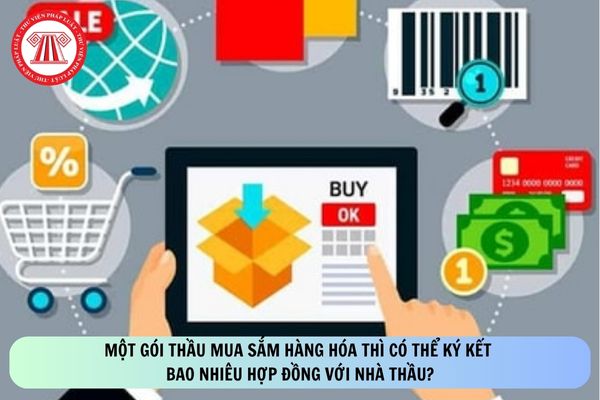 Pháp luật