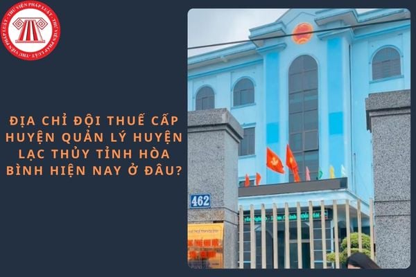 Pháp luật