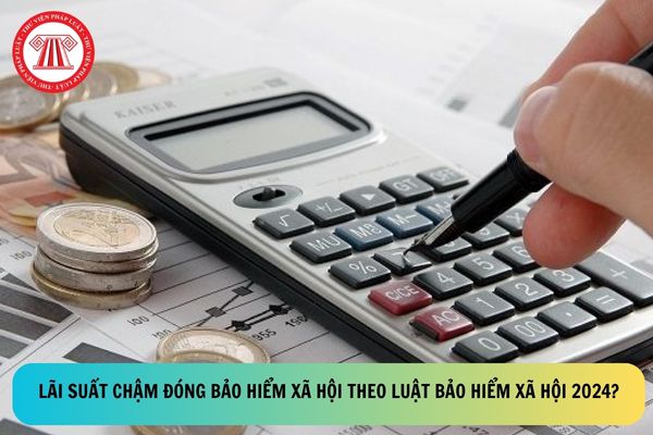 Pháp luật