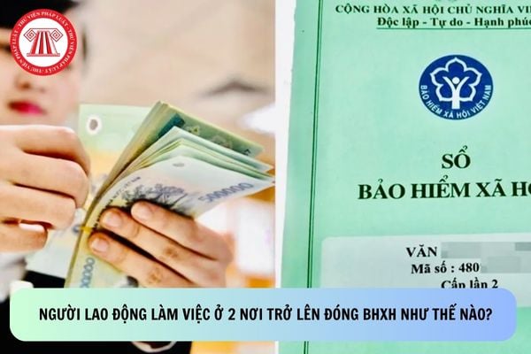Hỏi đáp Pháp luật
