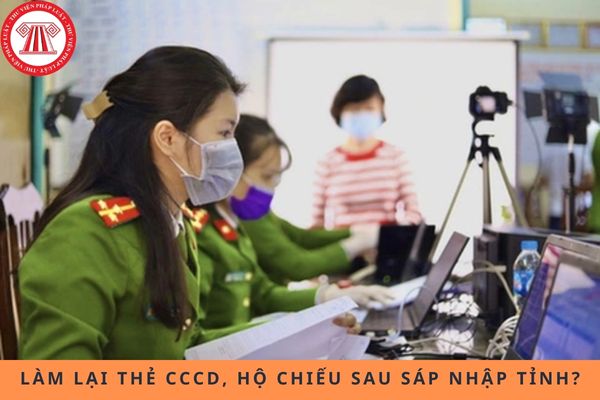 Pháp luật