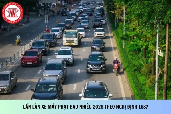 Pháp luật