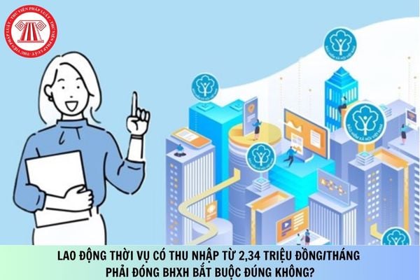 Pháp luật