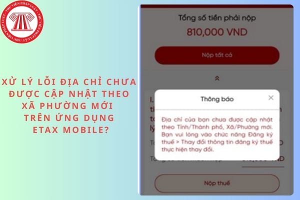 Pháp luật