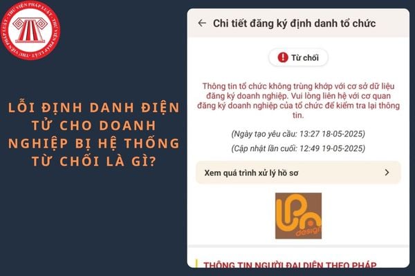 Pháp luật