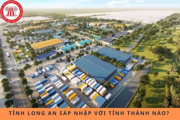 Pháp luật