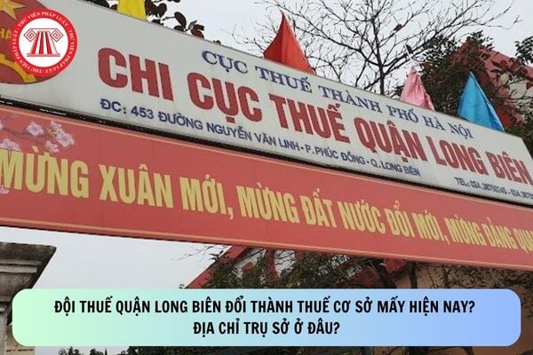 Pháp luật