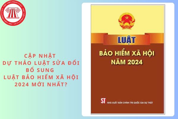Pháp luật