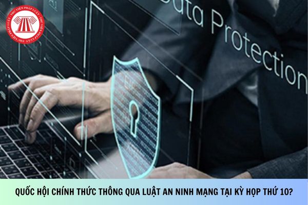 Pháp luật