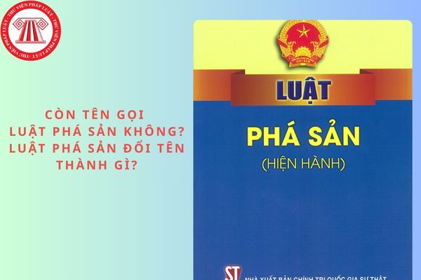Pháp luật