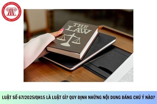 Pháp luật