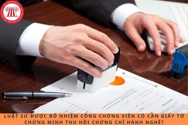 Pháp luật