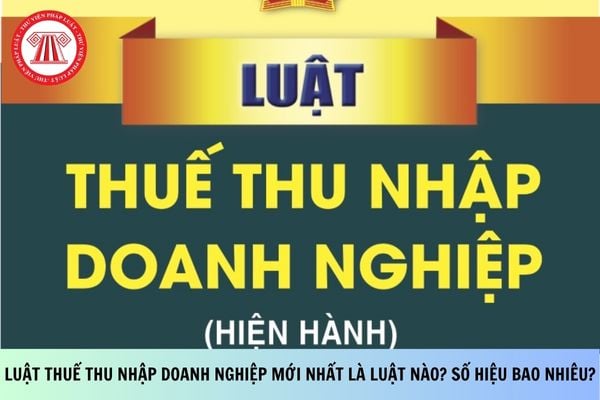 Pháp luật