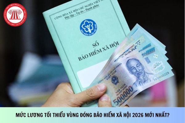 Pháp luật