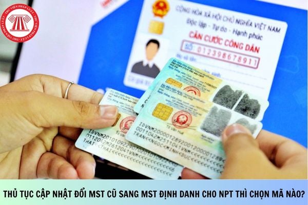 Pháp luật
