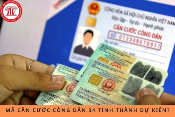 Pháp luật