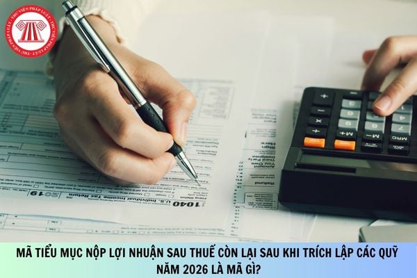 Pháp luật