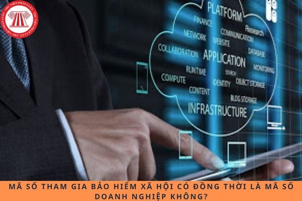 Mã số tham gia bảo hiểm xã hội có đồng thời là mã số doanh nghiệp không?