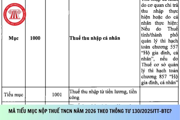 Pháp luật